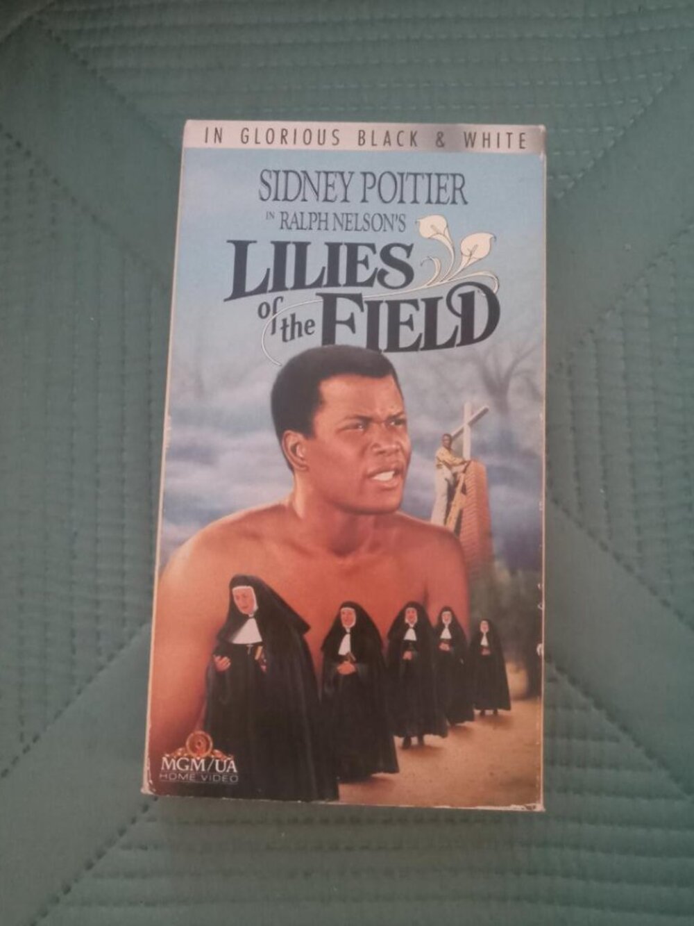 Lilies of the Field